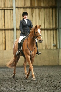 Isis Dressage Crown Farm Show 29th April 2012